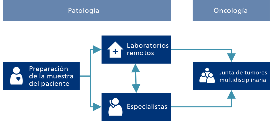 Programa de detecci&oacute;n